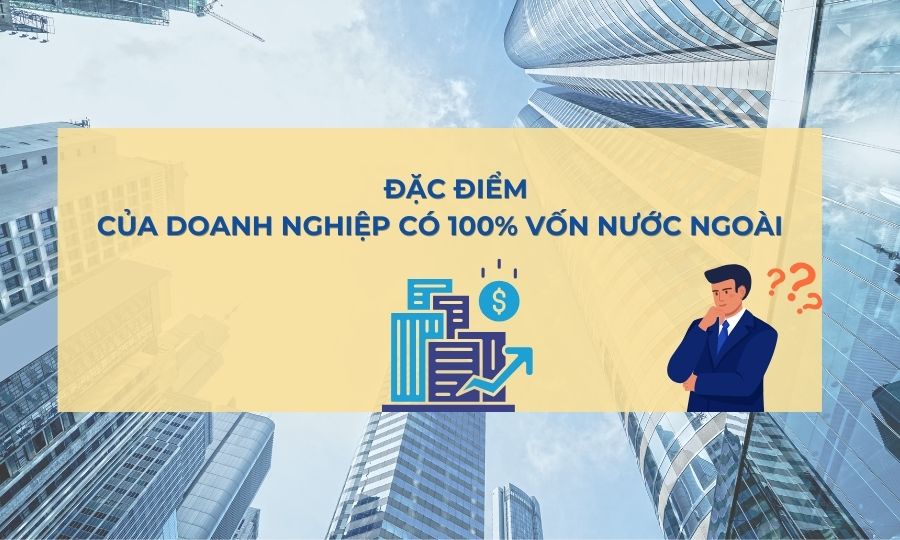 đặc điểm doanh nghiệp thành lập 100 vốn nước ngoài