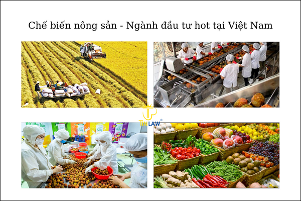 Chế biến nông sản – Ngành đầu tư hot tại Việt Nam