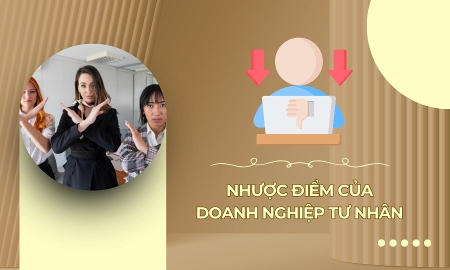 nhược điểm doanh nghiệp tư nhân