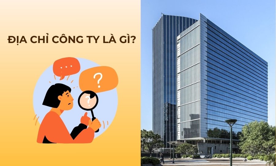 Địa chỉ công ty là gì?