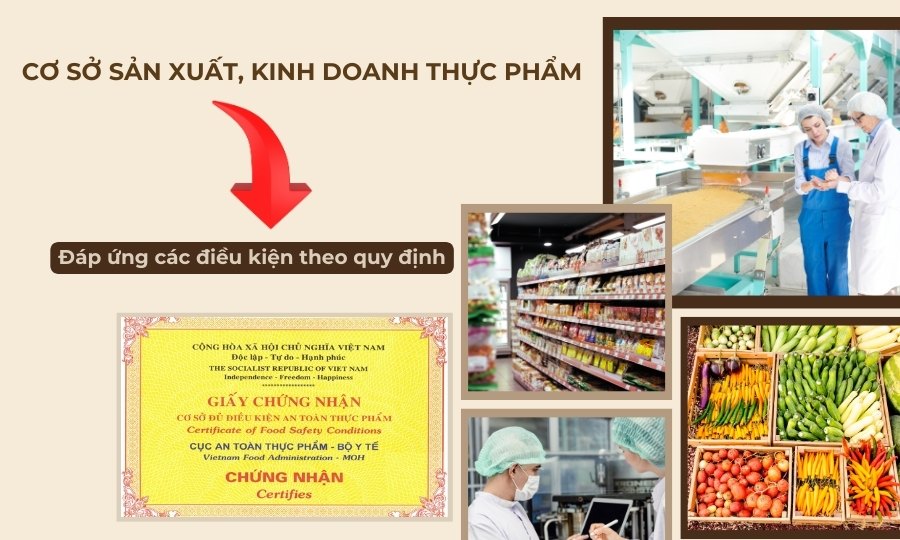 Điều kiện xin Giấy chứng nhận vệ sinh an toàn thực phẩm