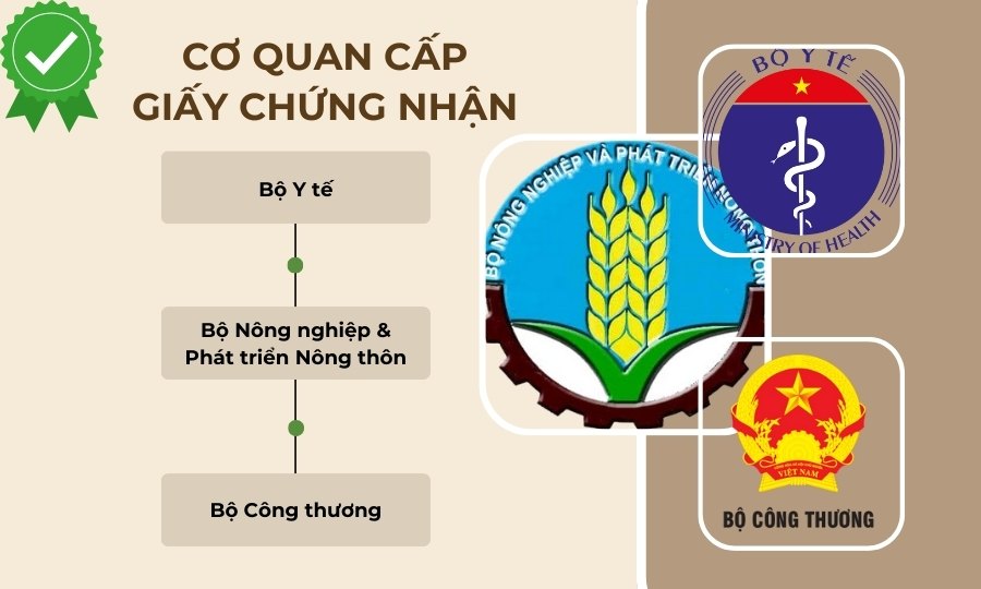 Thẩm quyền cấp Giấy phép vệ sinh an toàn thực phẩm