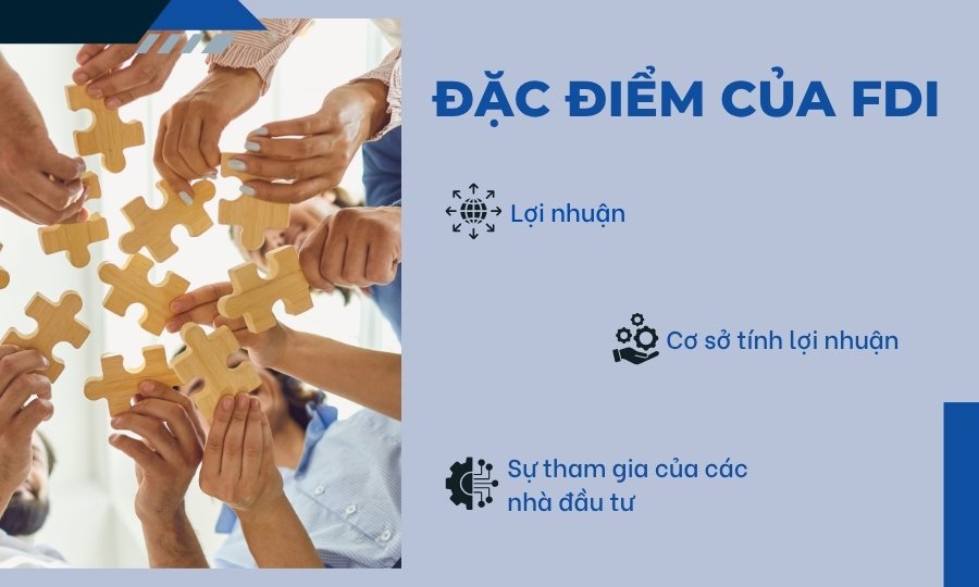 Đặc điểm của FDI