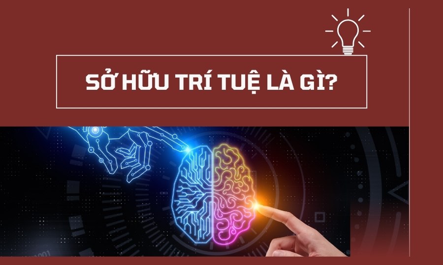 Sở hữu trí tuệ là gì?