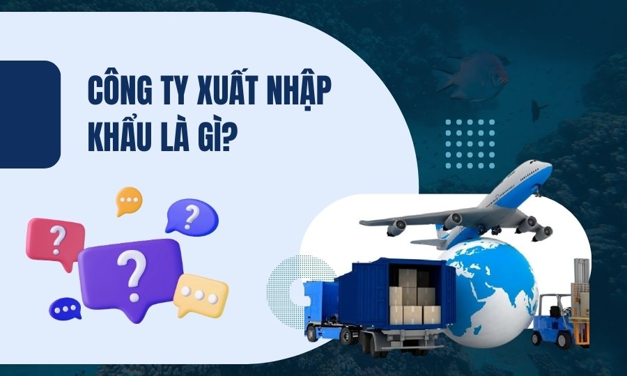 Công ty xuất nhập khẩu là gì?