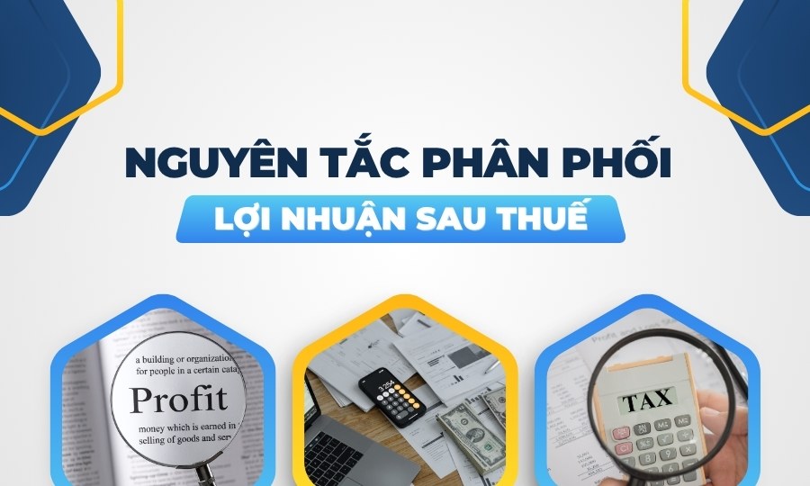 Nguyên tắc phân phối lợi nhuận sau thuế