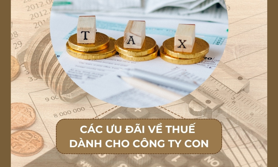 ưu đãi về thuế cho công ty con