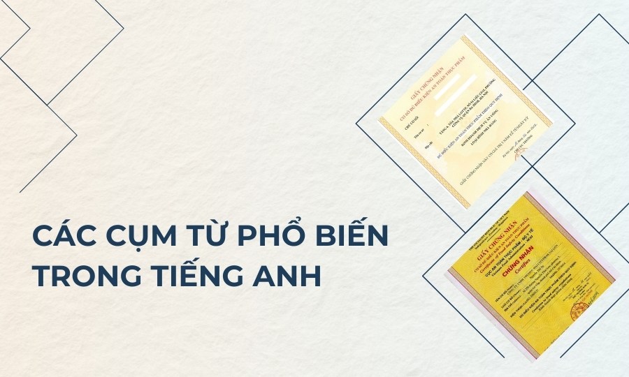 giấy phép kinh doanh tiếng Anh