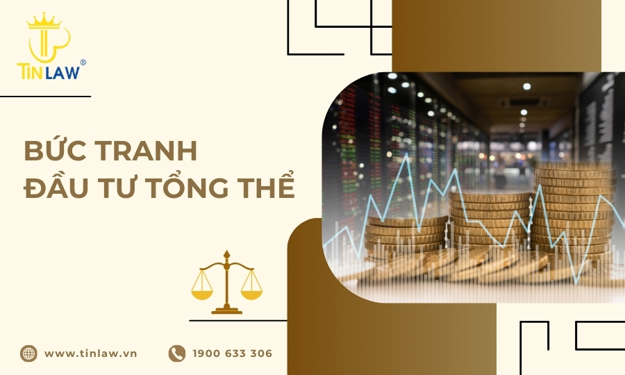 tư vấn bức tranh đầu tư tổng thể