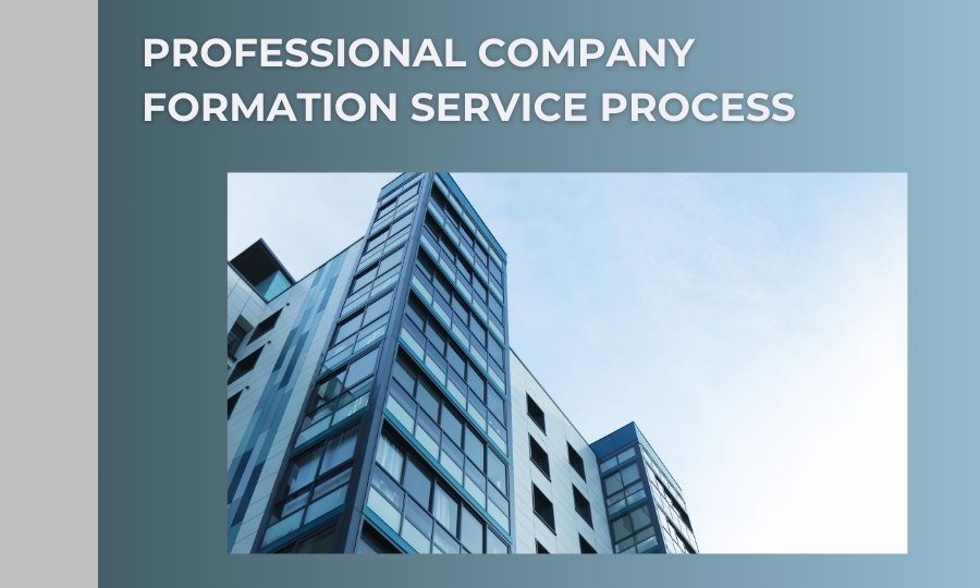 Professional company formation service process at TinLaw