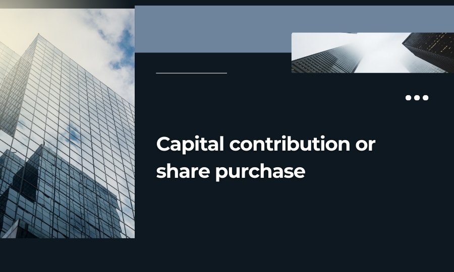 Capital contribution or share purchase in an existing enterprise