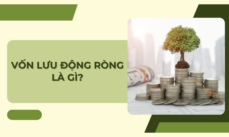 Vốn lưu động ròng là gì?