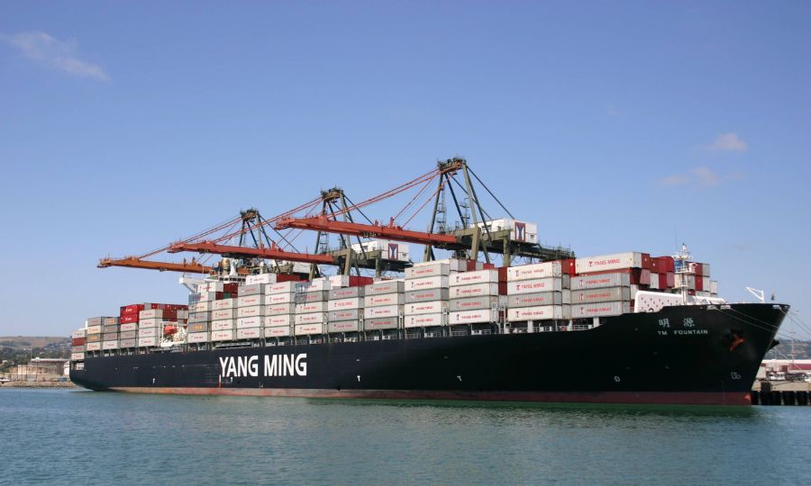 công ty Yang Ming