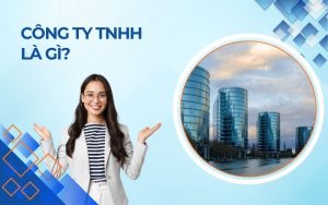 Công ty trách nhiệm hữu hạn là gì?