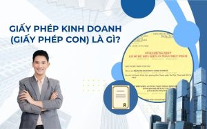 giấy phép kinh doanh là gì?