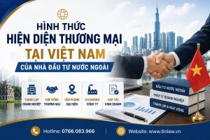 Hiện diện thương mại