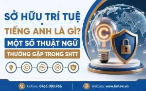 Sở hữu trí tuệ tiếng Anh là gì?