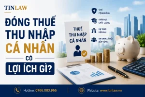 Lợi ích đóng thuế