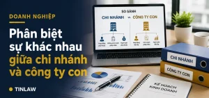 Phân biệt chi nhánh và công ty con