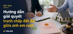 Tranh chấp đất đai giữa anh em ruột